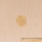 Potagères - Mâche Agathe - MEDIA_3D